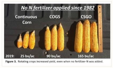 Crop Rotation